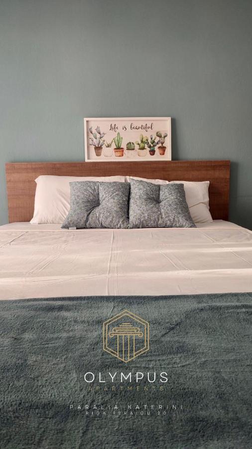 Paralía Olympus Apartments מראה חיצוני תמונה